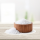 Body & Foot Soak