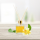 Diffuser Oils
