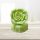 Butter Soaps