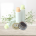 Lip Care