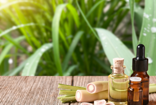 A Versatile Natural Remedy