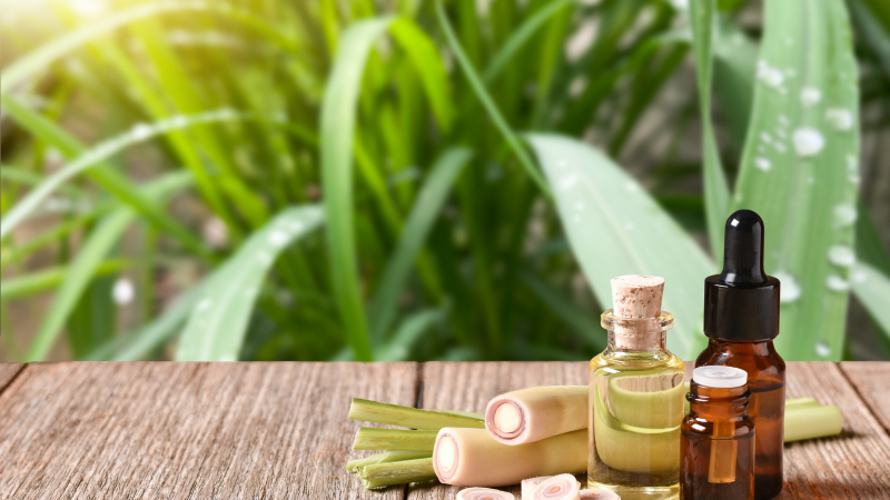 A Versatile Natural Remedy A Versatile Natural Remedy