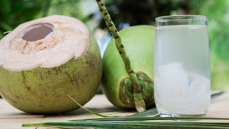 Tender Coconut: Nature’s Hydrating Elixir Tender Coconut: Nature’s Hydrating Elixir