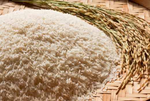 Thooyamalli - Source of Vitamin B