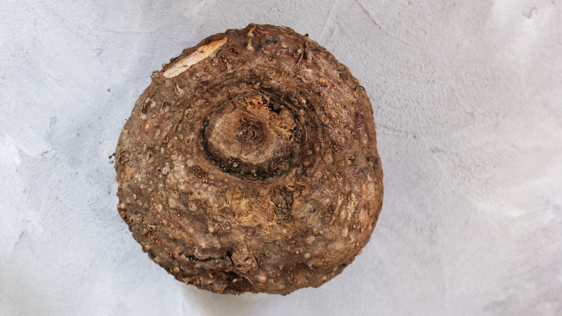 Yam: A Nutritional Powerhouse Yam: A Nutritional Powerhouse